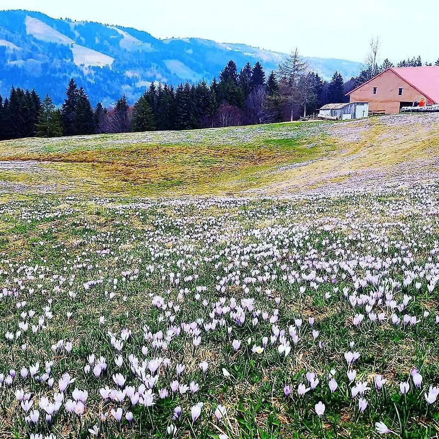 Landhaus Eibelesee Oberstaufen 0*,  Germany